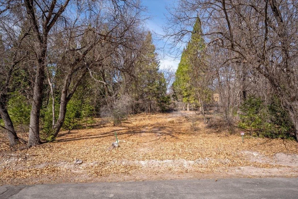 Lot 36 North Ridge Ct, Mount Shasta — view 6 of 12