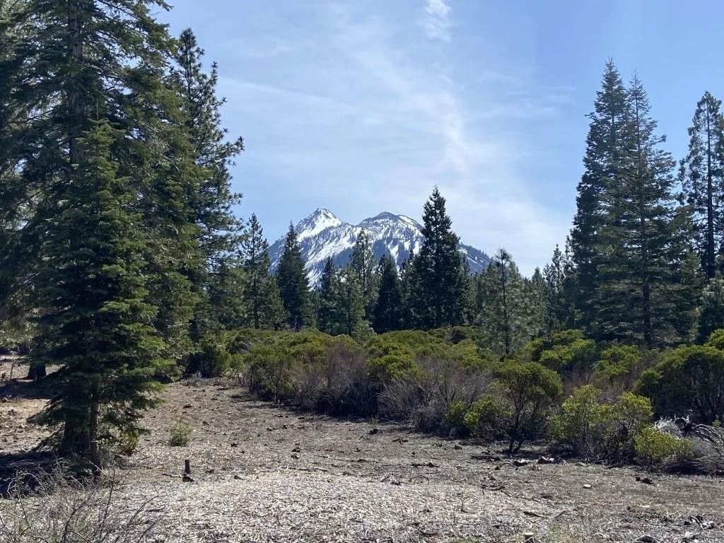 Lot 40 Hidden Meadow Dr, Weed — view 2 of 12