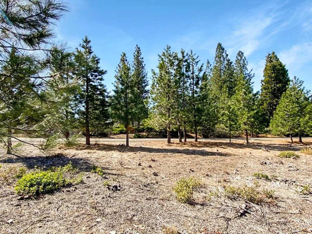 Lot 55 Hidden Meadow Dr, Weed — view 6 of 12