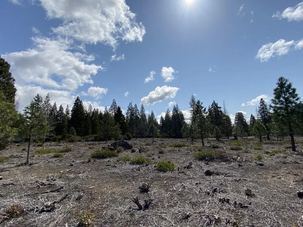 Lot 58 Heather Pl, Weed — view 5 of 12