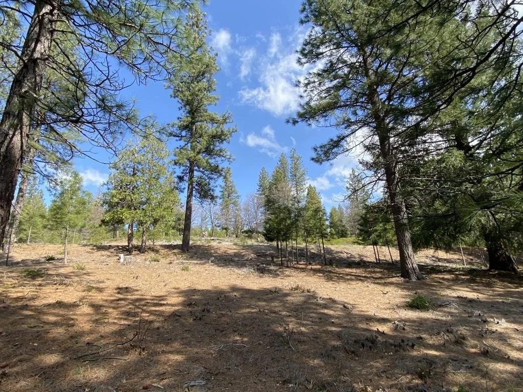 Lot 26 Meadow Ln, Weed — view 7 of 12