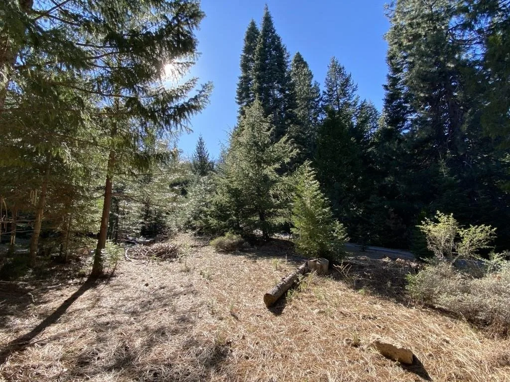 Lot 22 Woodside Ct, Mount Shasta — view 5 of 12