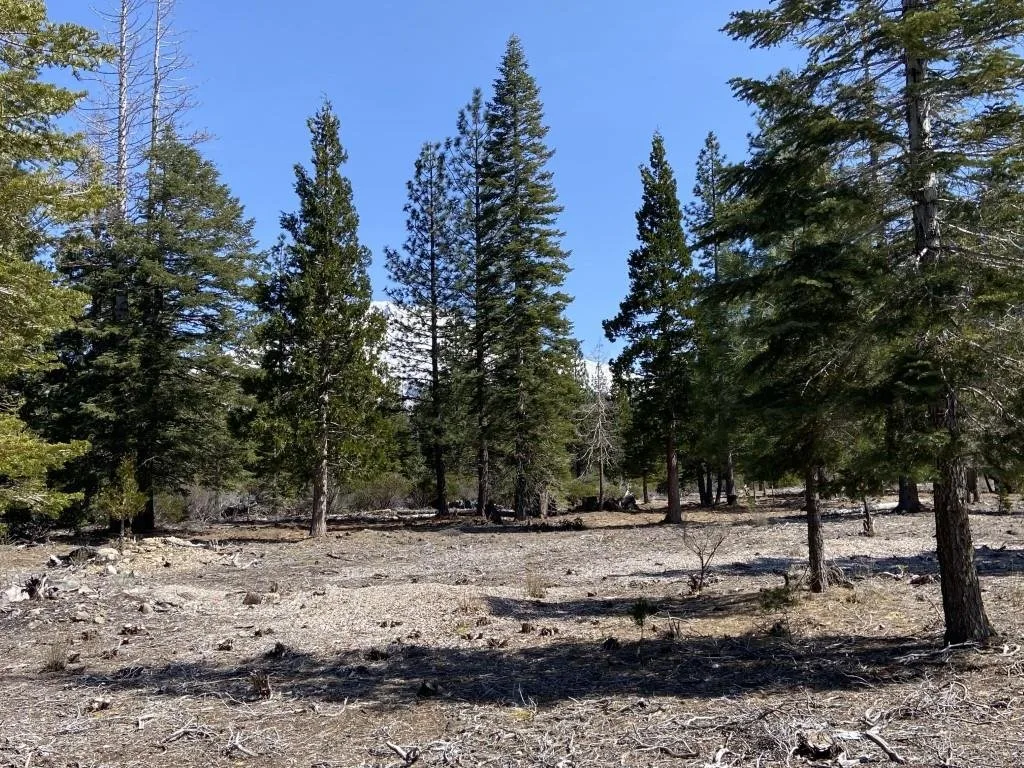Lot 40 Hidden Meadow Dr, Weed — view 5 of 12