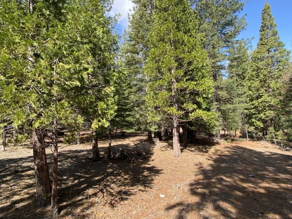 Lot 33 Glenhaven Ct, Weed — view 7 of 12