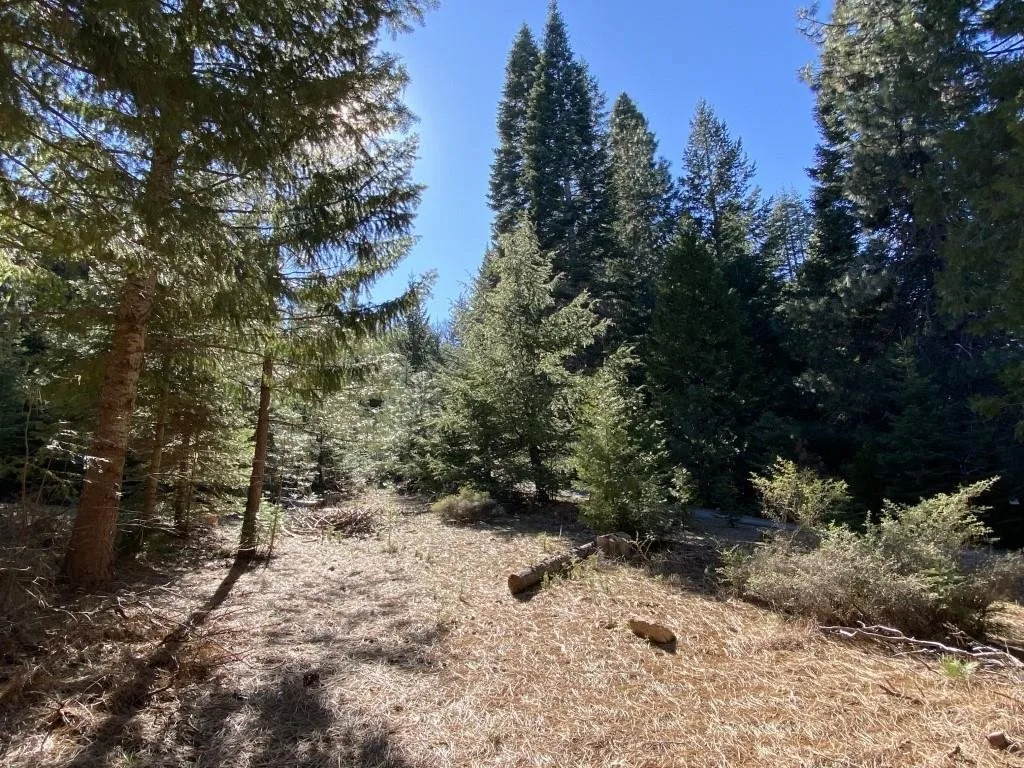 Lot 22 Woodside Ct, Mount Shasta — view 10 of 12