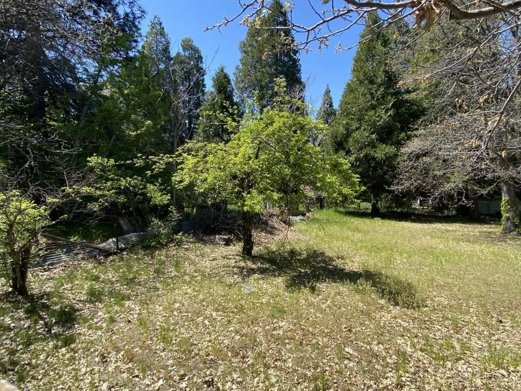 Outdoor space at Lots 4 & 5 Berry St, Mount Shasta — 4 of 6