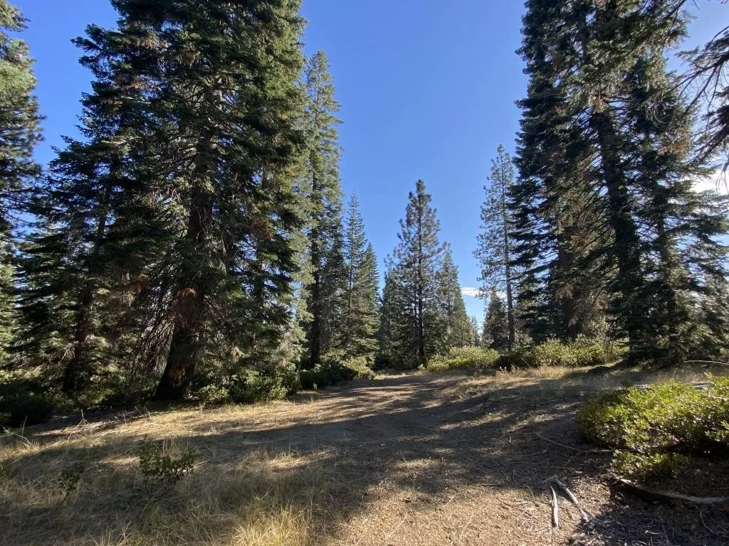 4-H-6 & 7 Ridge Dr, McCloud — view 12 of 12