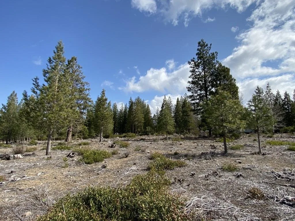 Lot 58 Heather Pl, Weed — view 11 of 12