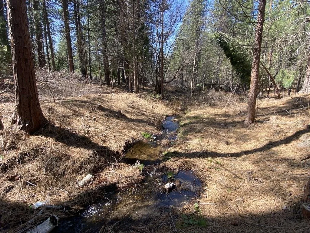 Lot 25 Meadow Ln, Weed — view 11 of 12