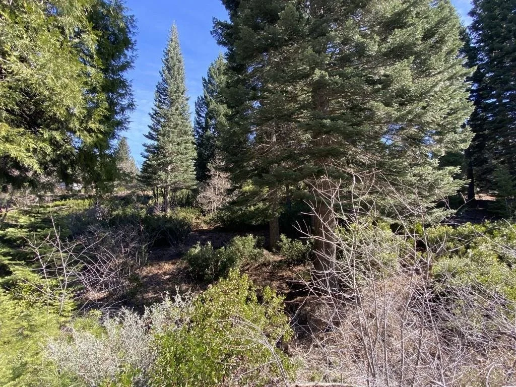 Lot 7 Andrew Ct, Mount Shasta — view 4 of 11