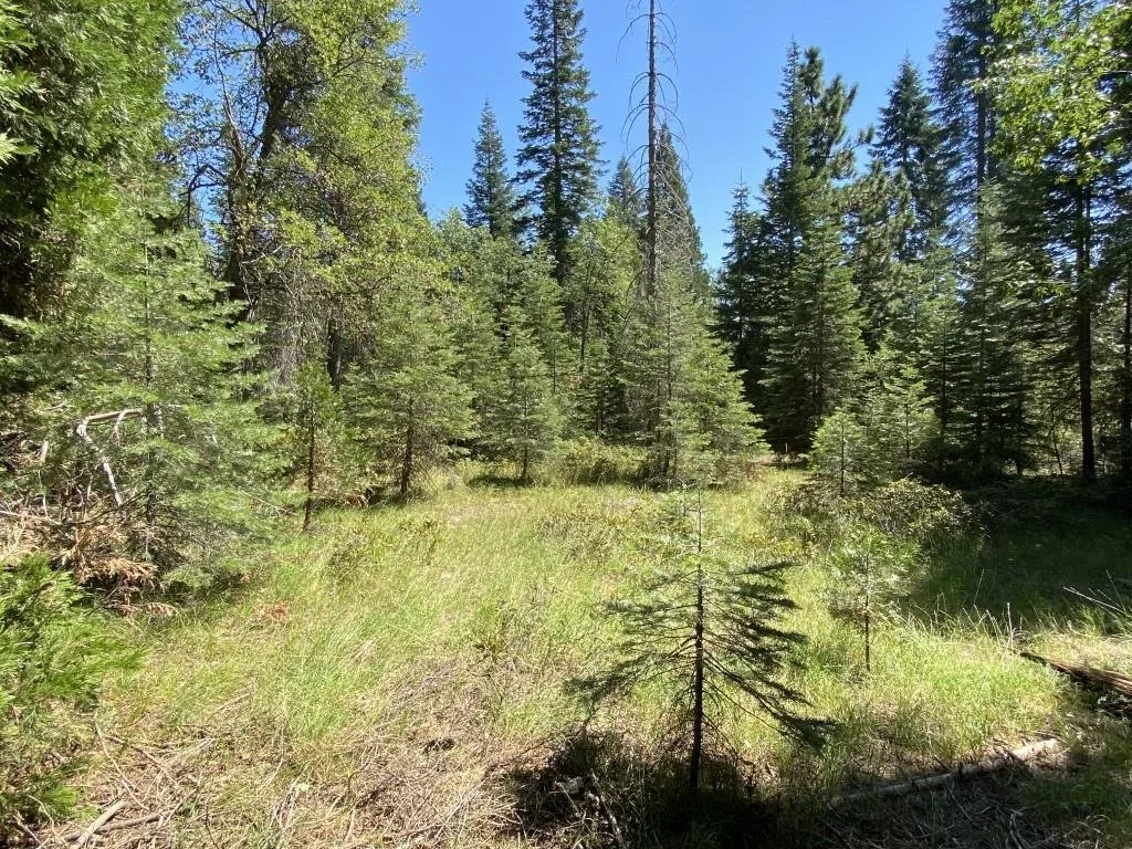 1-B-3 Cascade St, McCloud — view 2 of 12