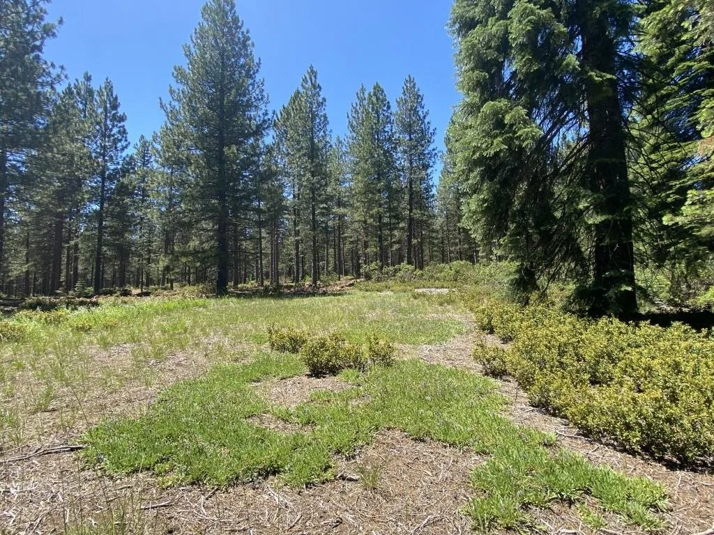2-E-15 Snowline Cir, McCloud — view 6 of 12