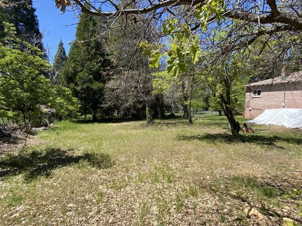 Outdoor space at Lots 4 & 5 Berry St, Mount Shasta — 3 of 6
