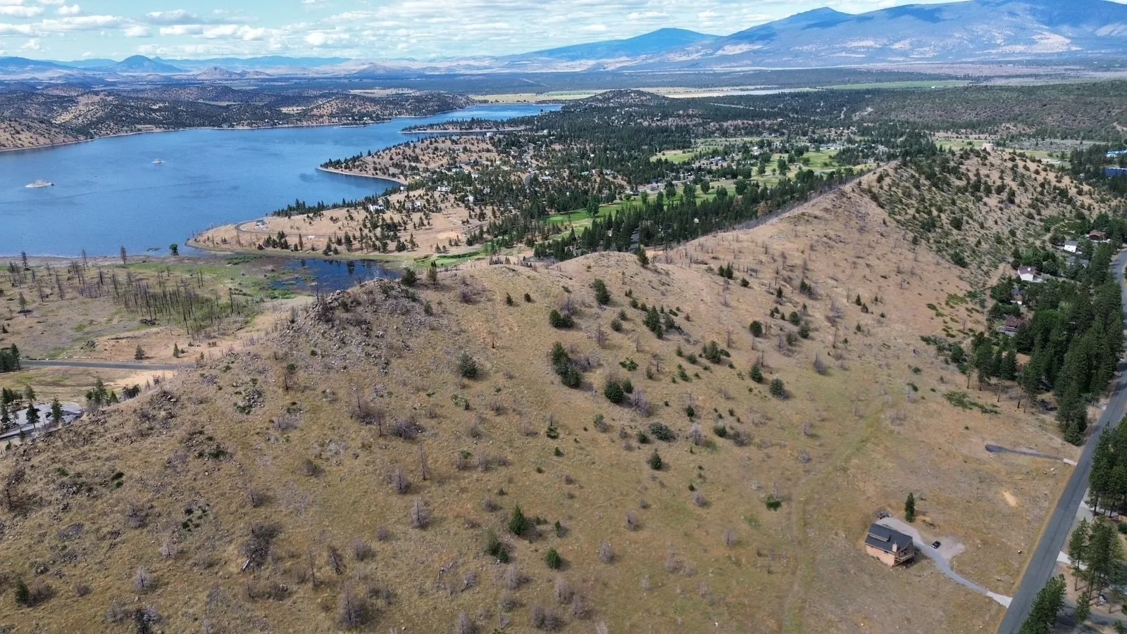 Zen Mountain, Weed — view 5 of 12
