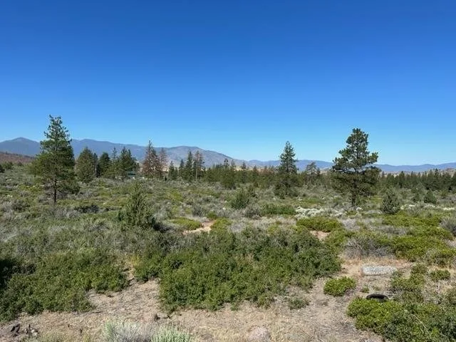 Blk 1 Lot 10 Big Springs Road, Weed — view 4 of 8