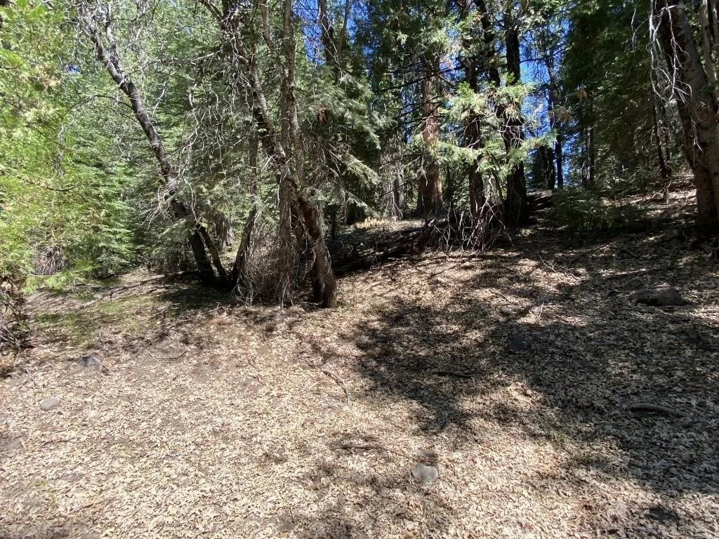 1-B-3 Cascade St, McCloud — view 9 of 12