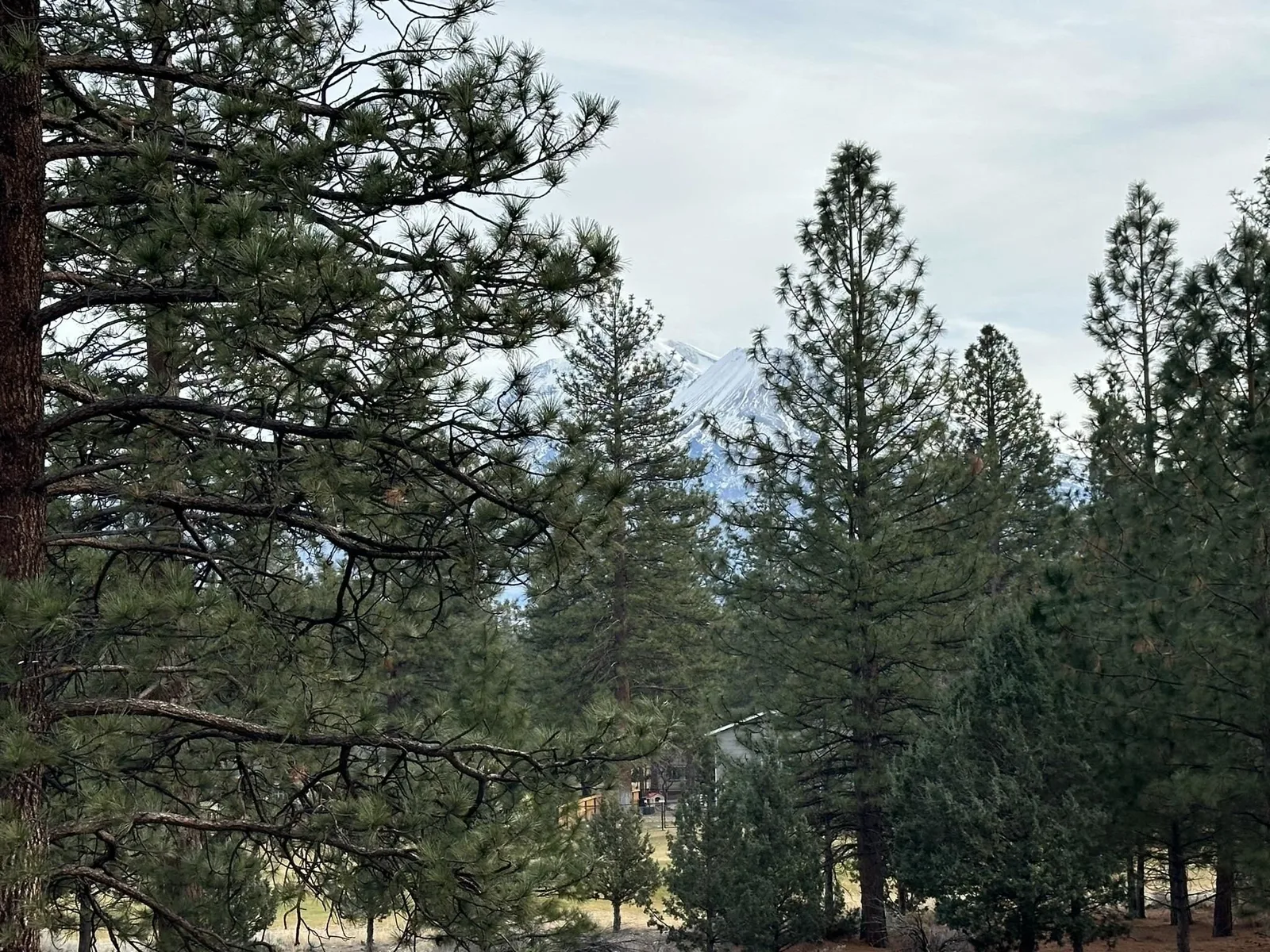 View at 5-3/277 Palmer Drive, Weed — 2 of 3