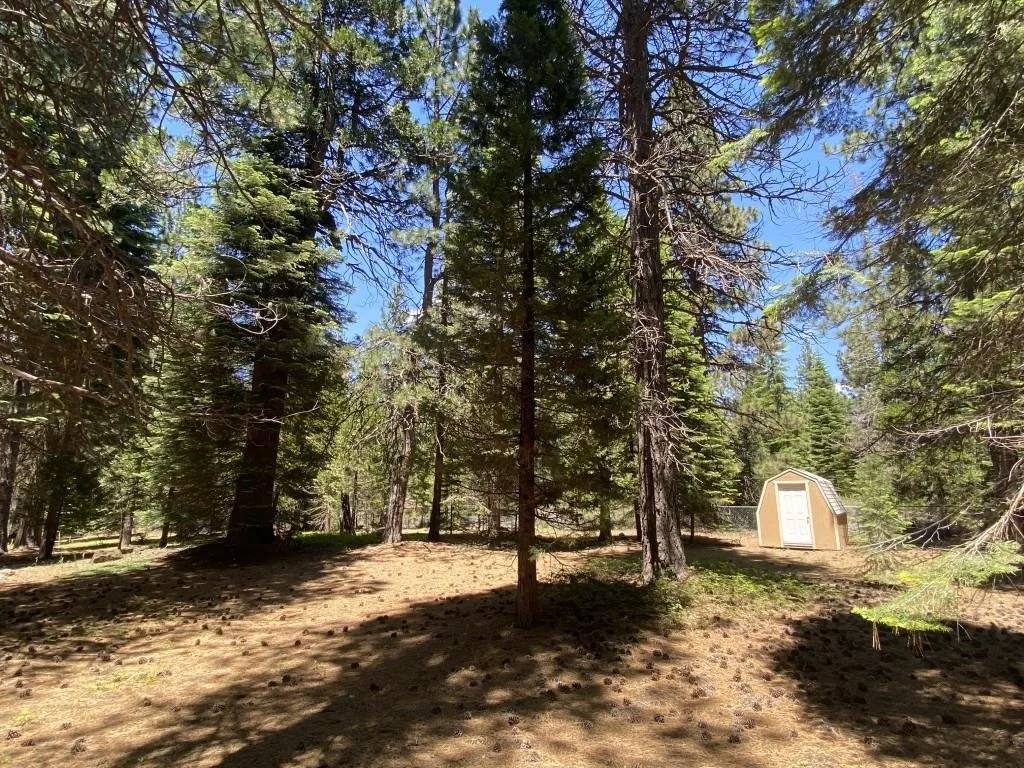 Lot 3 Twin Hills Ct, Mount Shasta — view 11 of 12