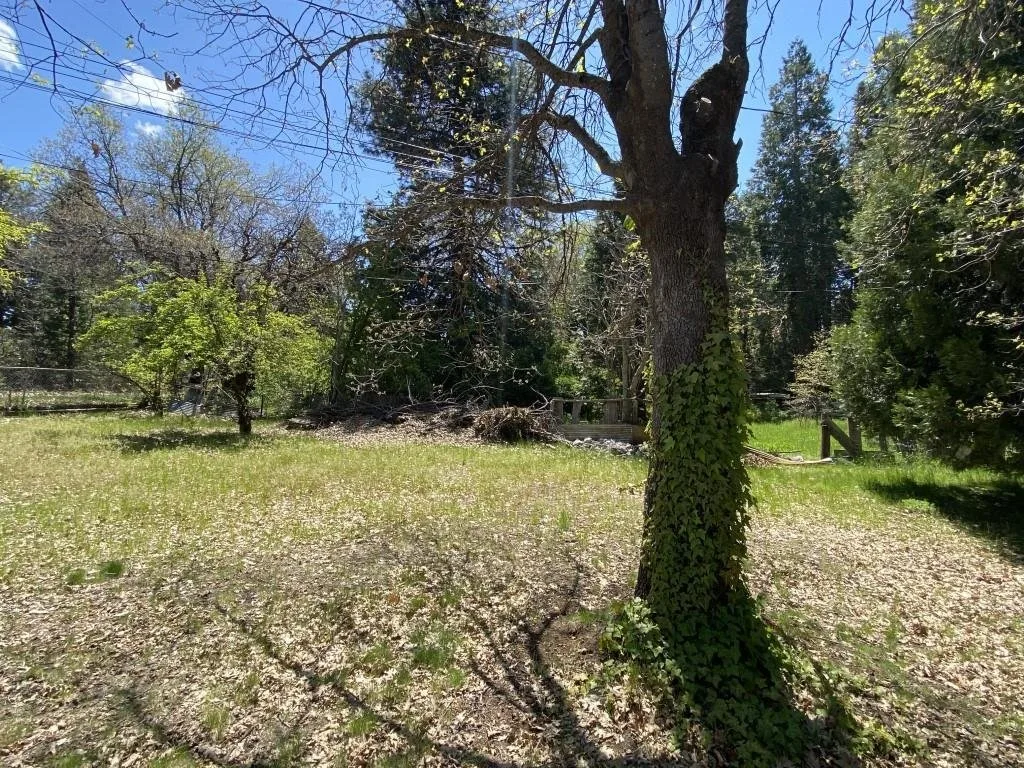 Outdoor space at Lots 4 & 5 Berry St, Mount Shasta — 2 of 6