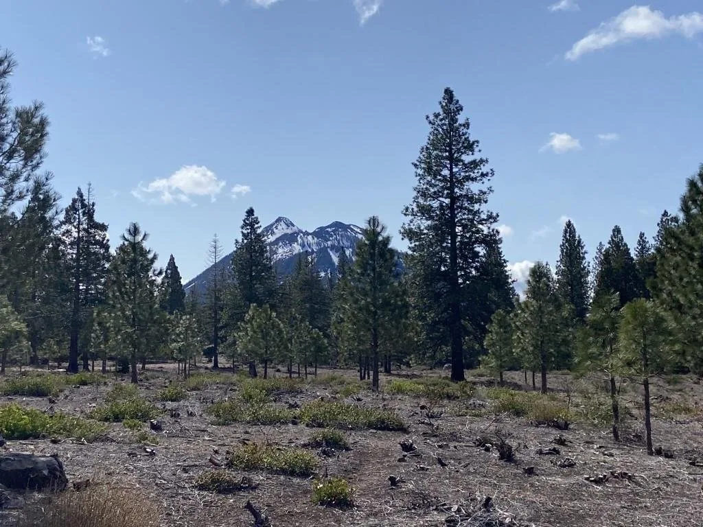 Lot 58 Heather Pl, Weed — view 3 of 12