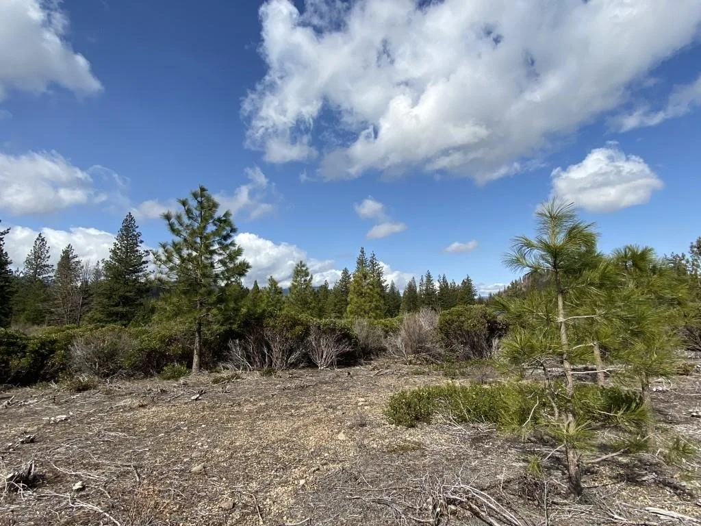 Lot 58 Heather Pl, Weed — view 8 of 12