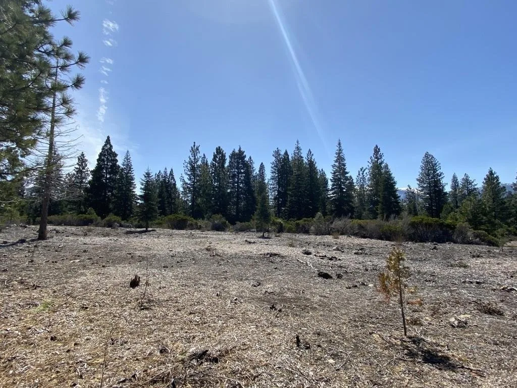 Lot 40 Hidden Meadow Dr, Weed — view 7 of 12