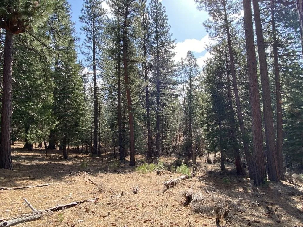 Lot 26 Meadow Ln, Weed — view 11 of 12