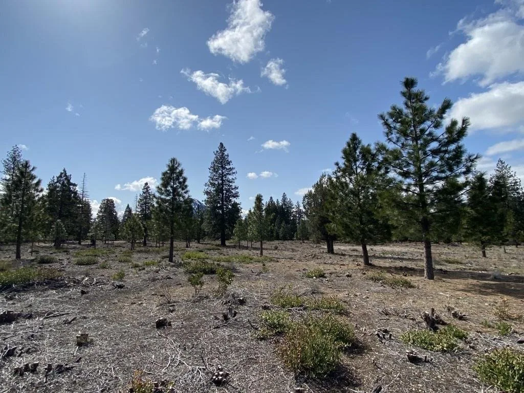 Lot 58 Heather Pl, Weed — view 6 of 12