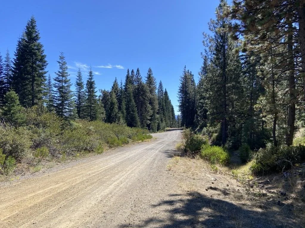 3-C-23 Fumarole Dr, McCloud — view 12 of 12