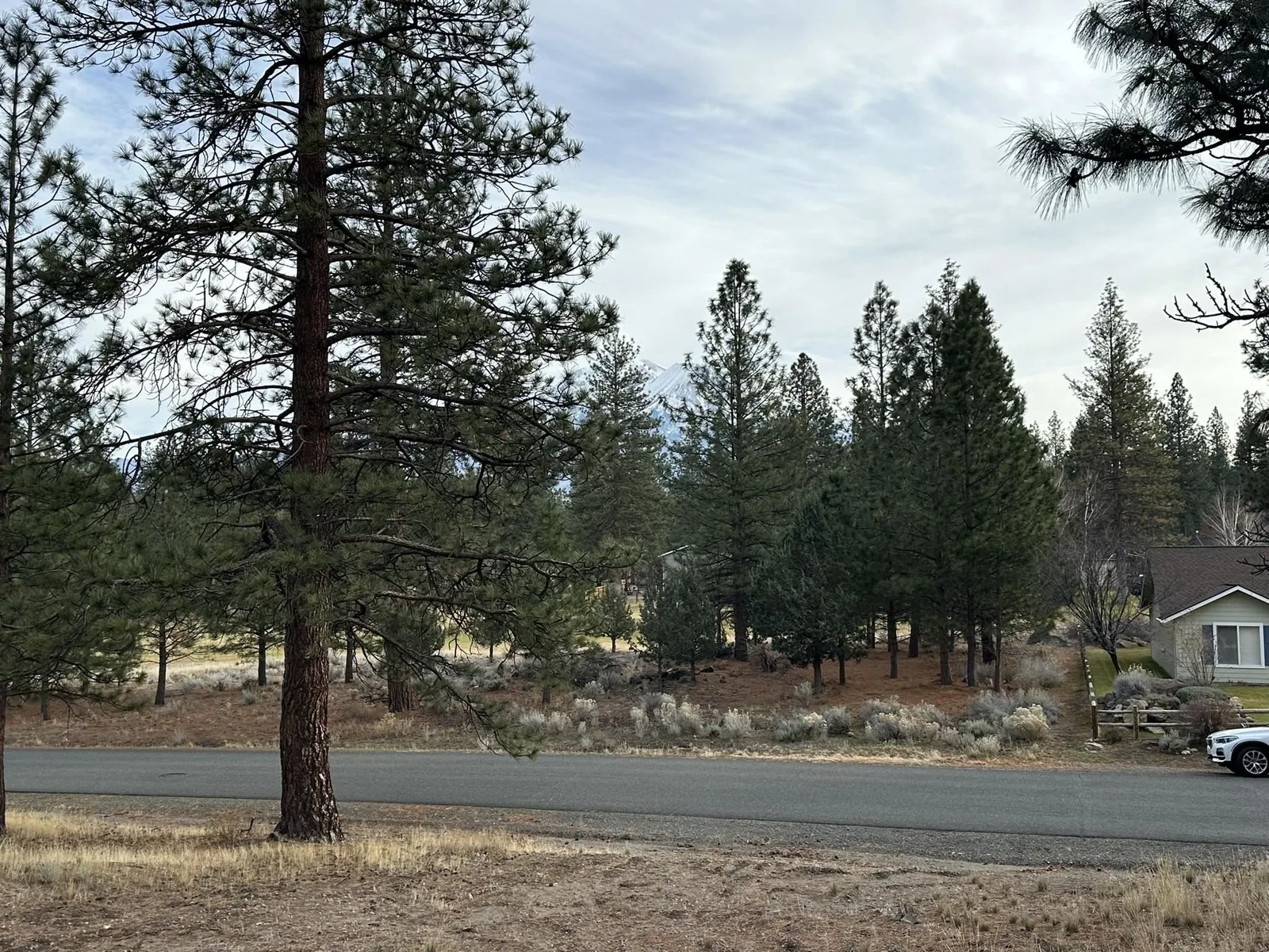 View at 5-3/277 Palmer Drive, Weed — 3 of 3