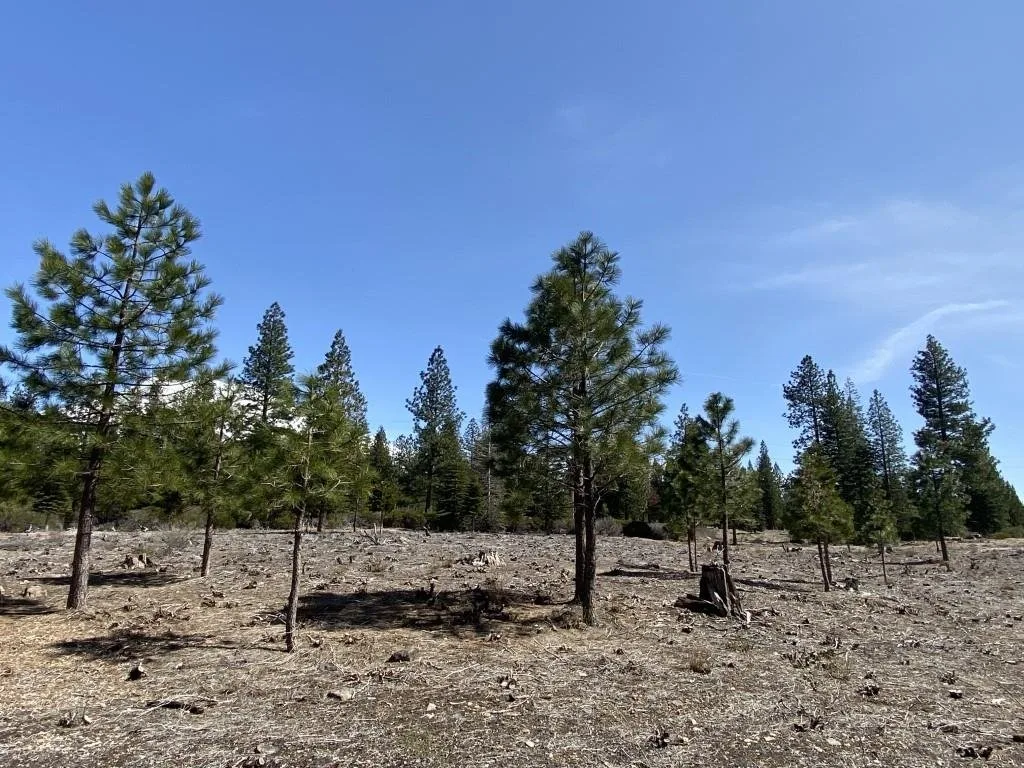 Lot 40 Hidden Meadow Dr, Weed — view 10 of 12
