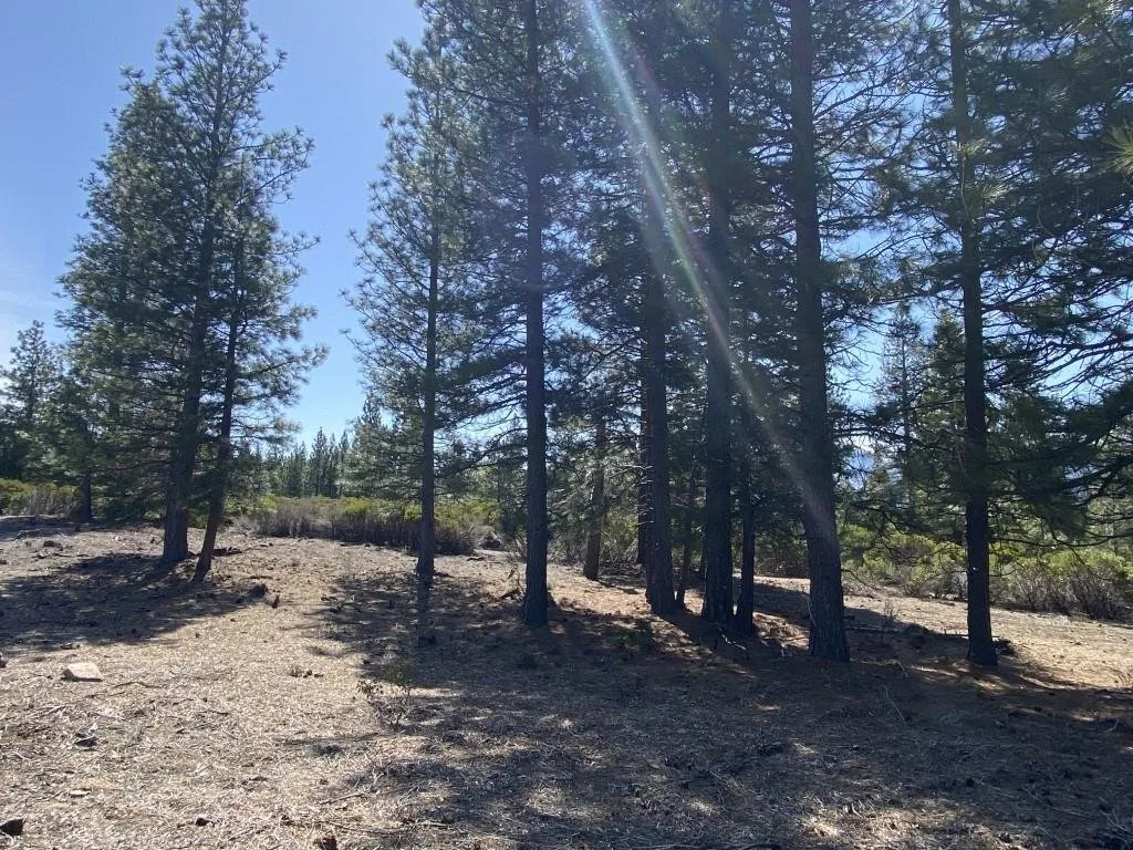 Lot 40 Hidden Meadow Dr, Weed — view 12 of 12