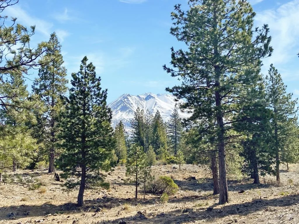 Lot 37 Hidden Meadow Dr, Weed — view 4 of 12