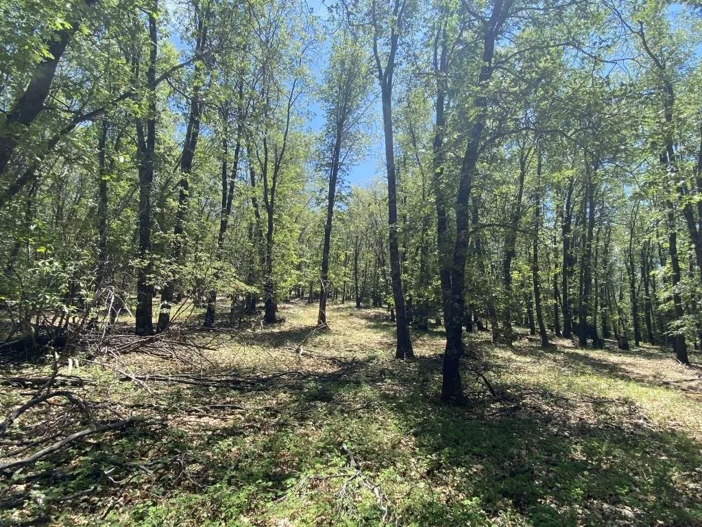 4-C-1 Columbine Rd, Weed — view 2 of 12