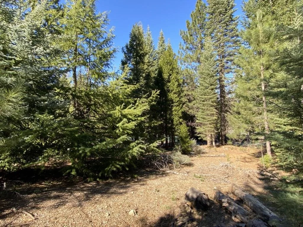 Lot 22 Woodside Ct, Mount Shasta — view 7 of 12