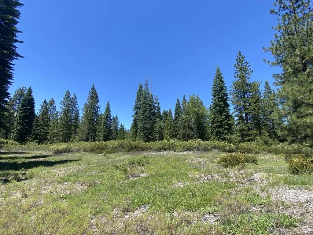 2-E-15 Snowline Cir, McCloud — view 2 of 12