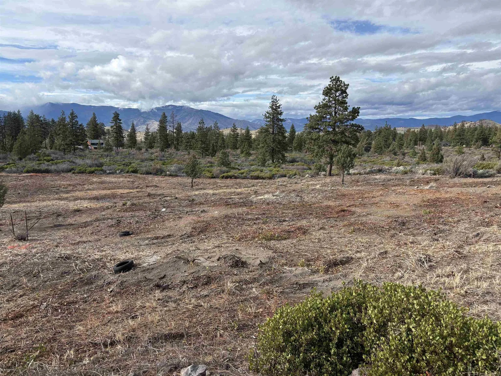 Blk 1 Lot 10 Big Springs Road, Weed — view 8 of 8