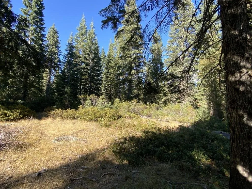 4-H-6 & 7 Ridge Dr, McCloud — view 11 of 12