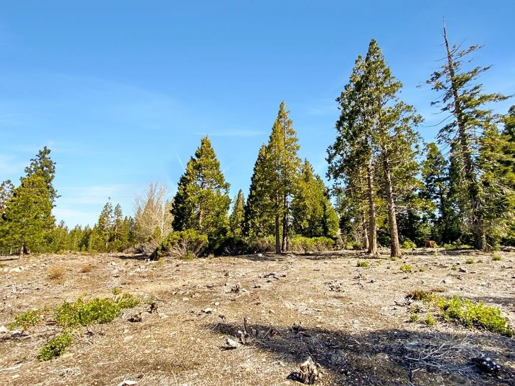 Lot 55 Hidden Meadow Dr, Weed — view 11 of 12