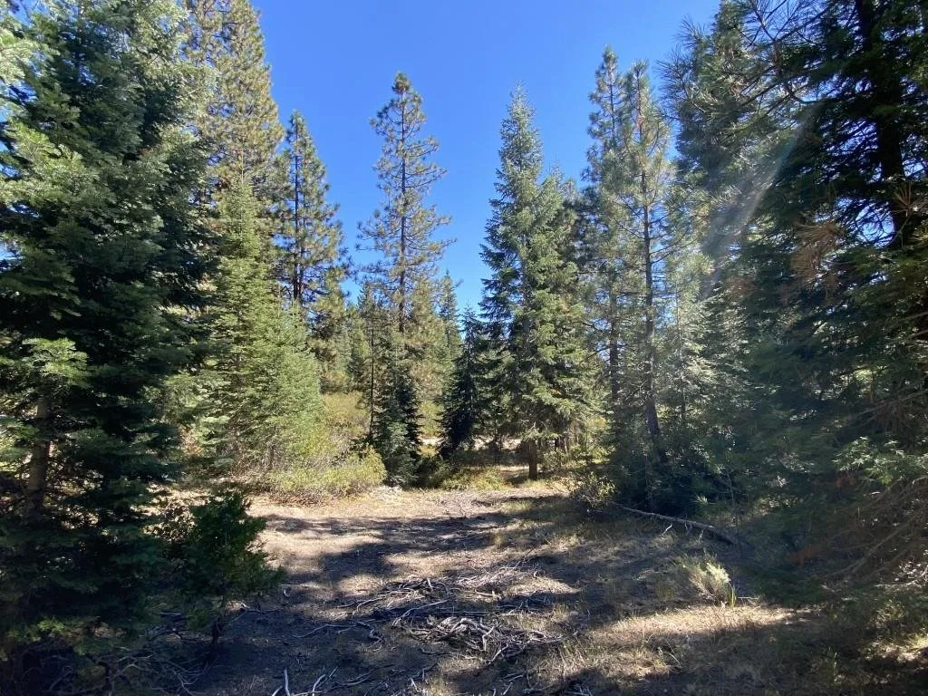 3-C-23 Fumarole Dr, McCloud — view 4 of 12