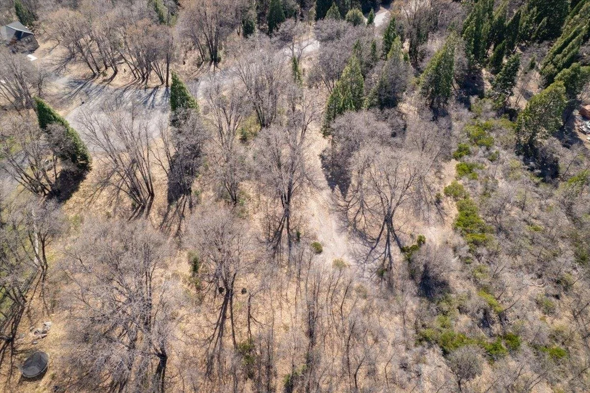 Lot 36 North Ridge Ct, Mount Shasta — view 12 of 12