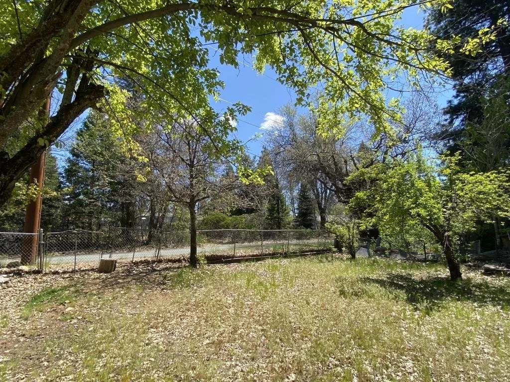 Outdoor space at Lots 4 & 5 Berry St, Mount Shasta — 1 of 6