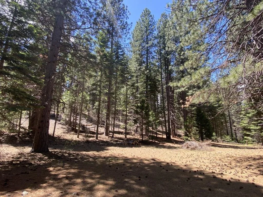 Lot 3 Twin Hills Ct, Mount Shasta — view 12 of 12