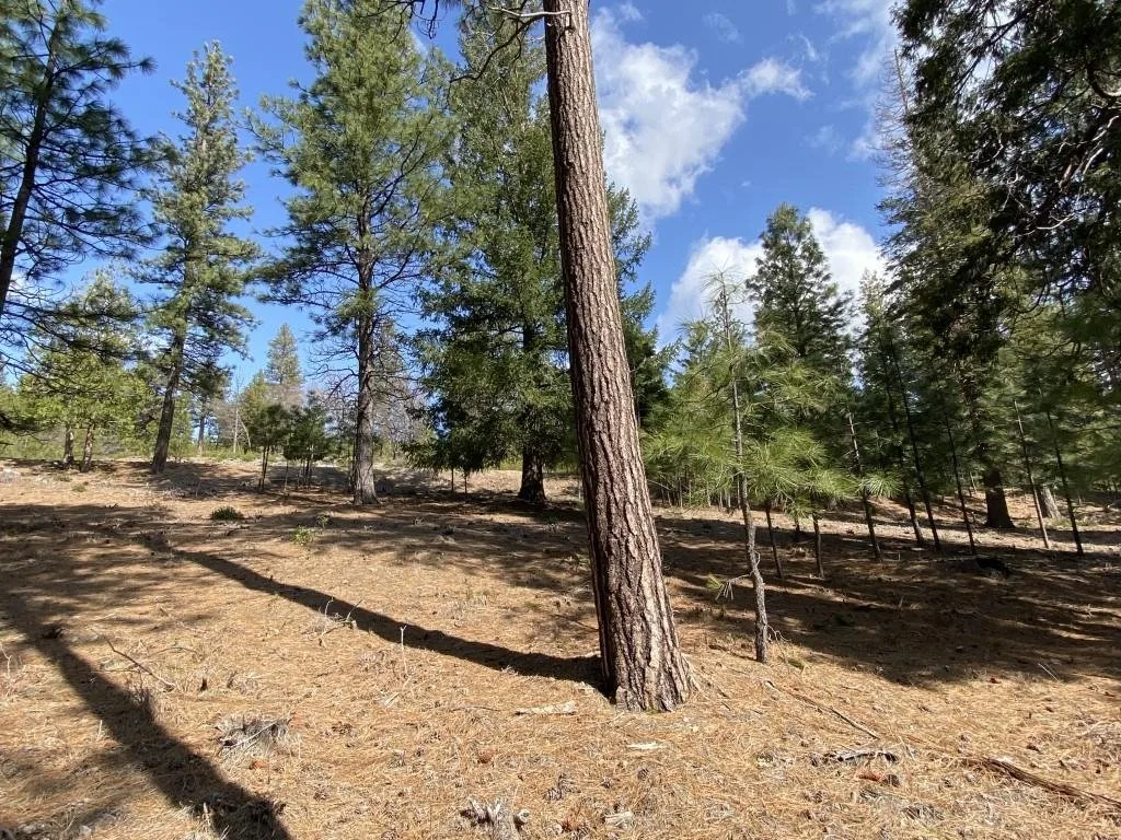 Lot 26 Meadow Ln, Weed — view 12 of 12