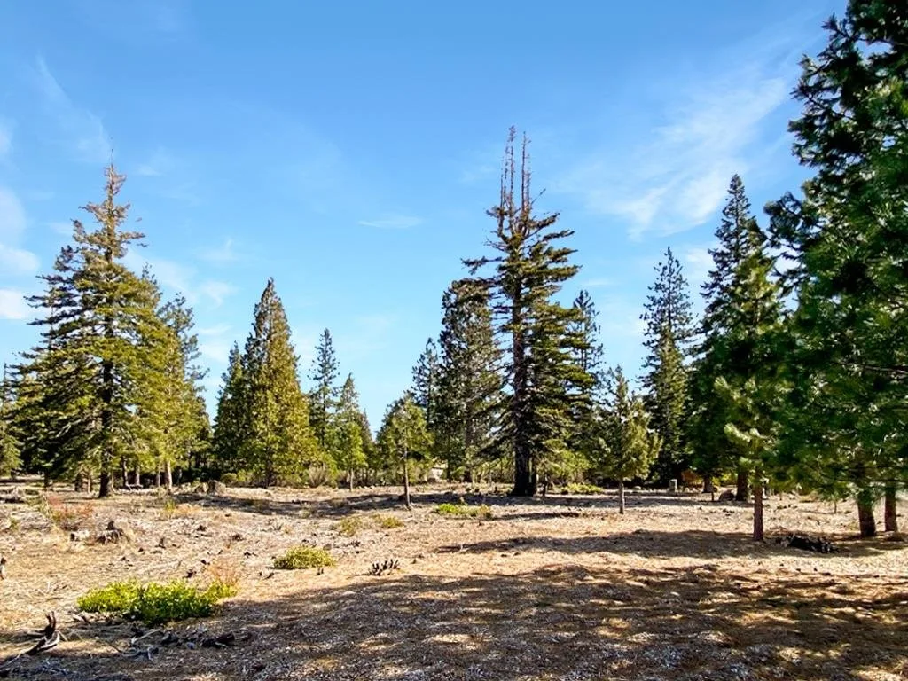 Lot 55 Hidden Meadow Dr, Weed — view 3 of 12