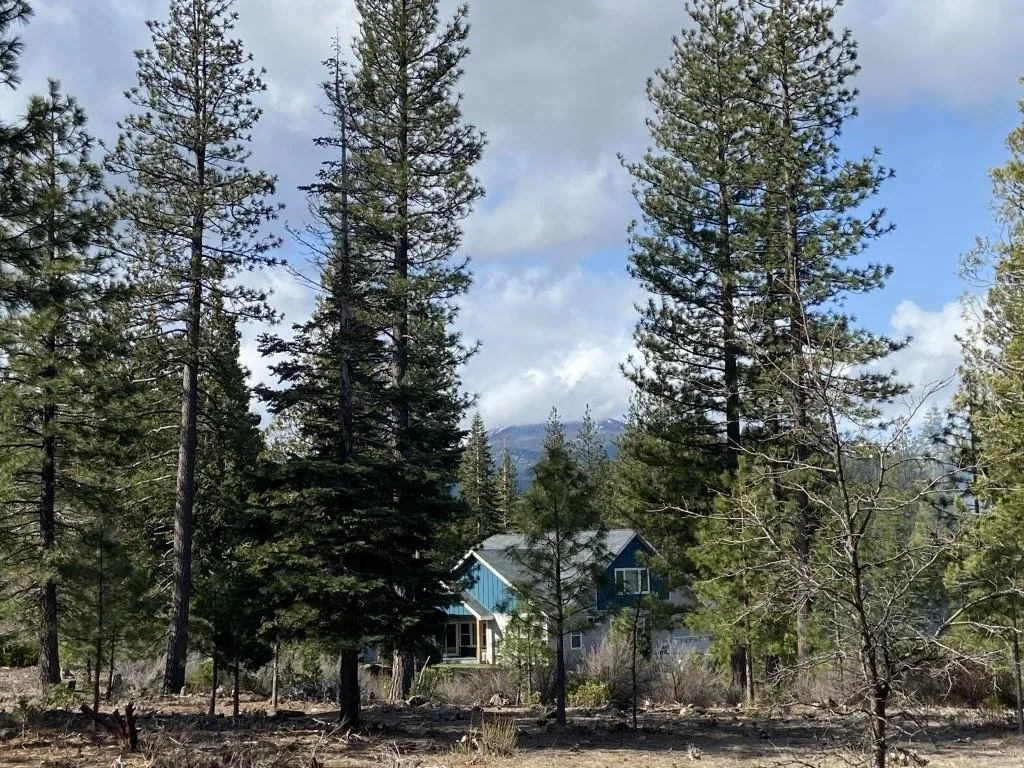 Lot 63 Heather Pl, Weed — view 8 of 12