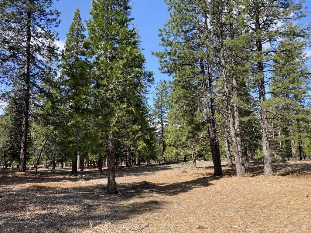 Lot 33 Glenhaven Ct, Weed — view 3 of 12