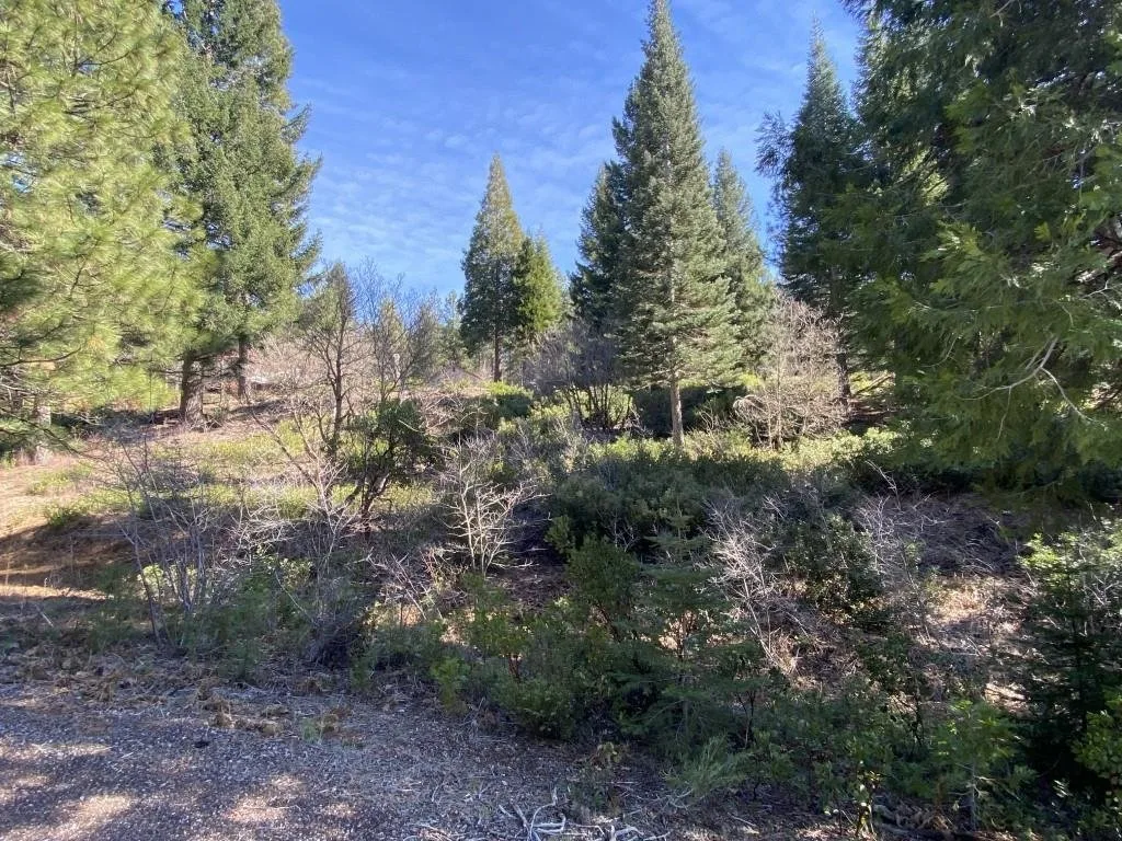 Lot 7 Andrew Ct, Mount Shasta — view 2 of 11