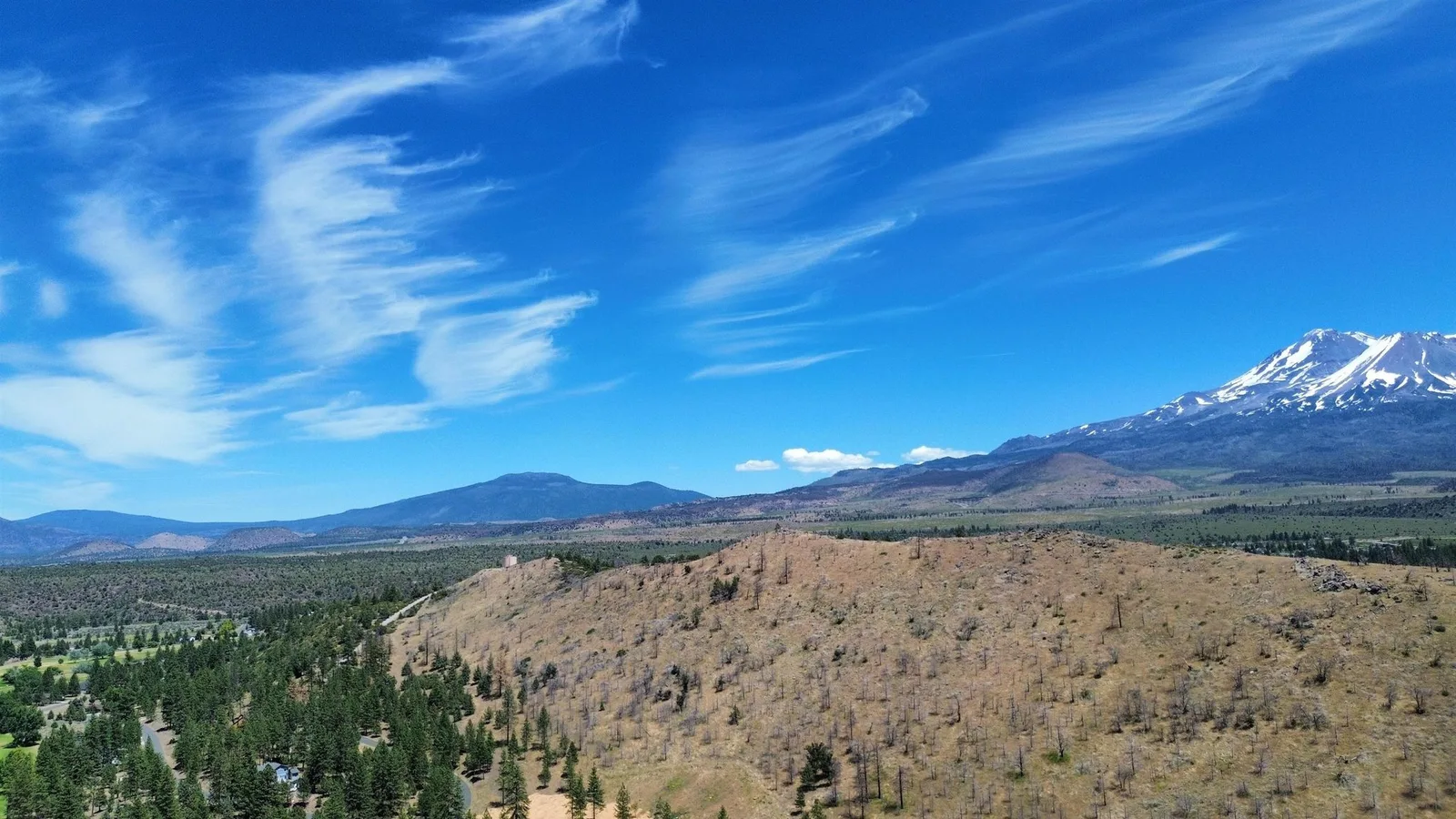 Zen Mountain, Weed — view 9 of 12