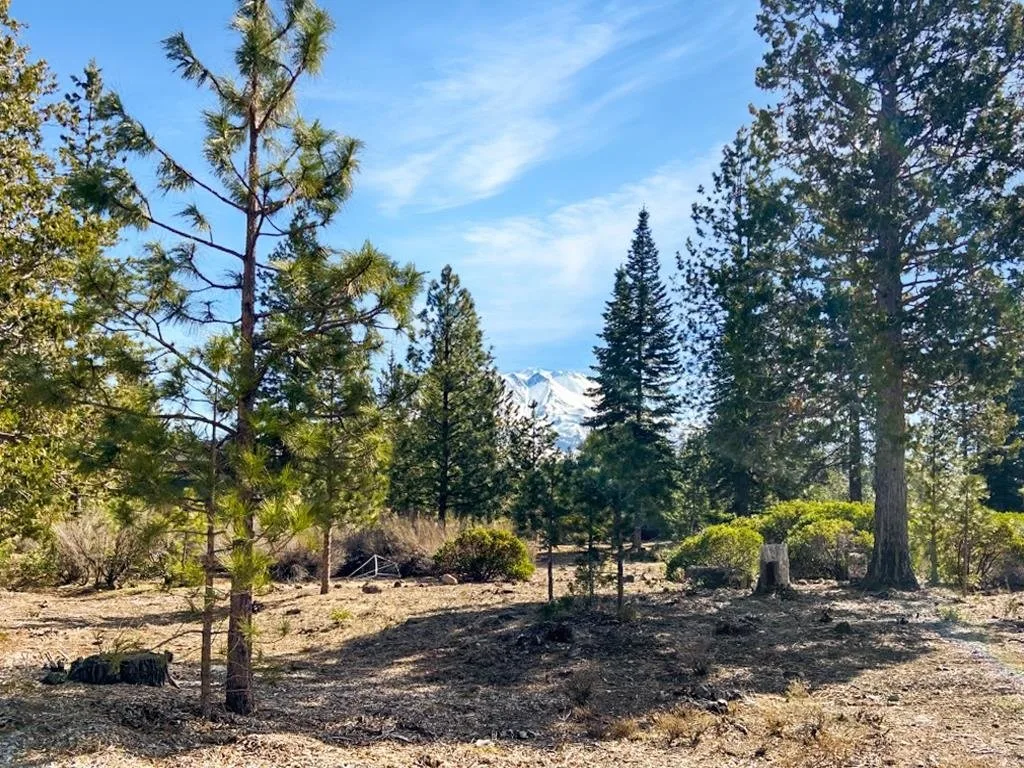 Lot 55 Hidden Meadow Dr, Weed — view 2 of 12